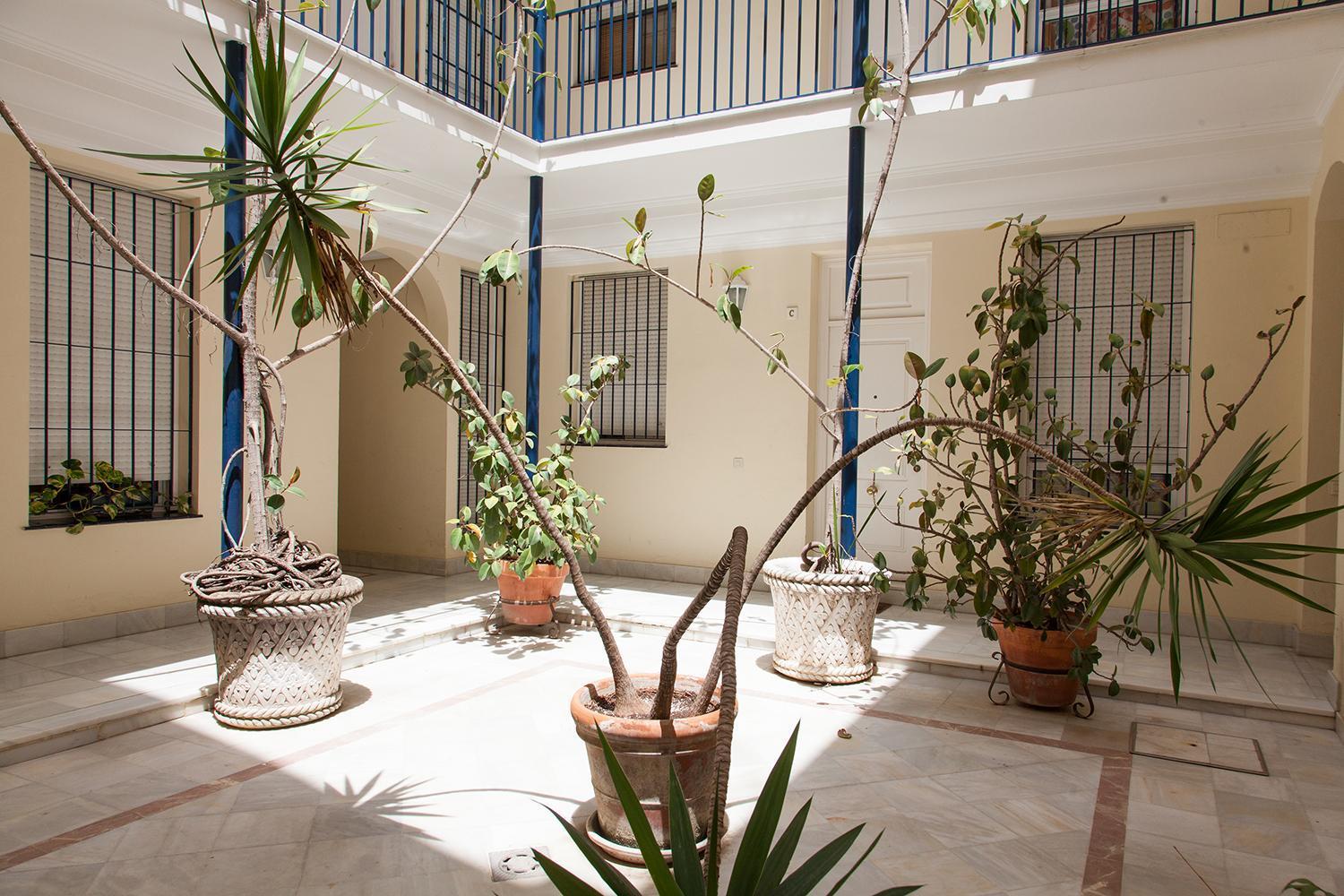 Gotoseville Siete Revueltas — Photos 1